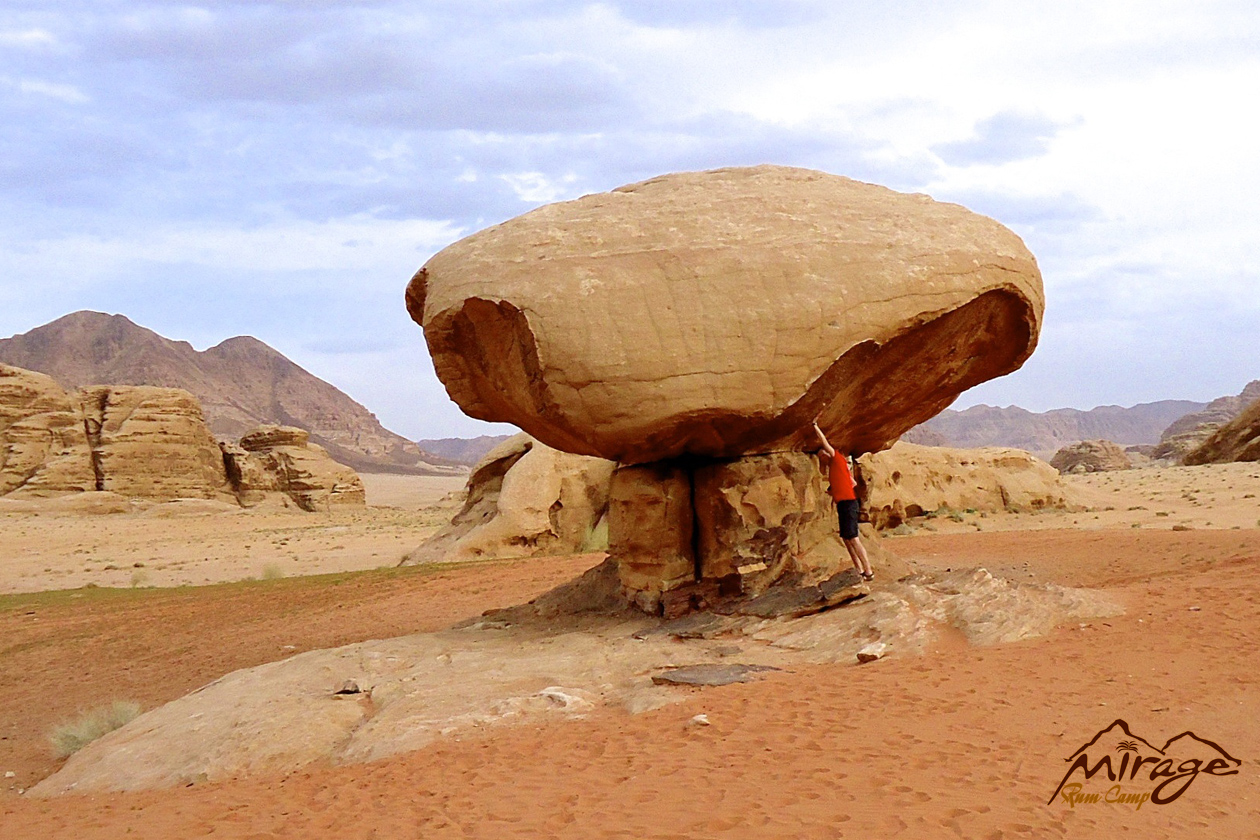 Our Tours